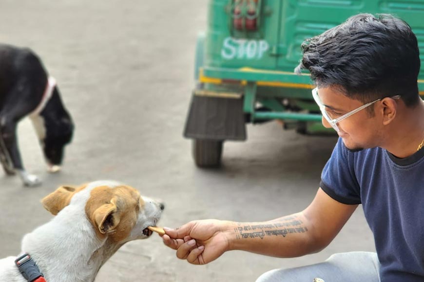 Project PAW â€“ saving canines to save humans â€“ GetBengal story